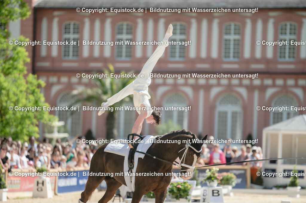 20230528_Voltigieren_NASPA_0080 | equistock