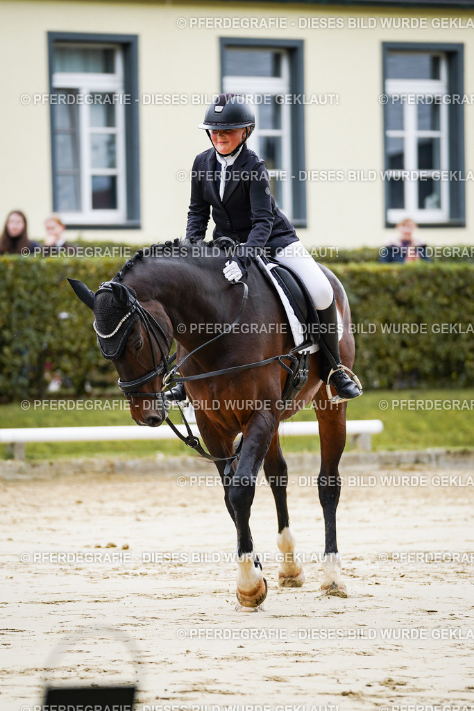 DSC04950 | Pferdegrafie