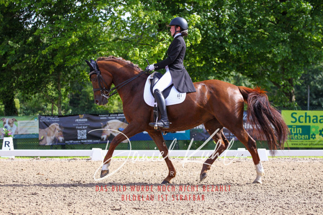 DKP41417 | Deine Turnierfotos vom Reitturnier online kaufen: Dressur, Springen & Siegerehrung. Professionelle Pferdefotografie aus dem Rheinland – als Download & Print.Alternative: Turnierfotograf für den Pferdesport: Finde deine Fotos von Dressur- und Springturnier