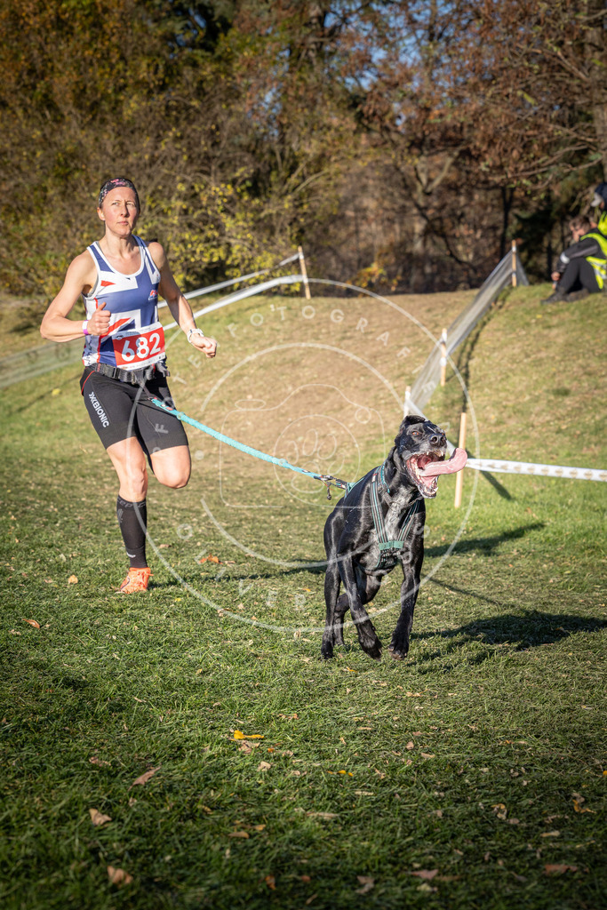 CaniXpix_0L8A9289 | Hundefotografie, Tierfotograf, Pfotenfotografie, Fotoshooting Hund, Hunde Portrait, Hundesport, Hundeportraits, Heideshooting, Hunde, Sportfotograf, Hundefotograf, Turnierhundsport, THS,  - Realisiert mit Pictrs.com