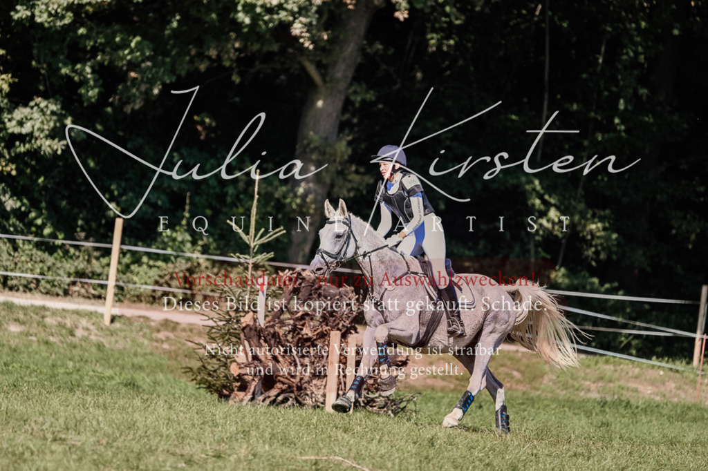 DSC_3028 | Pferde- und Turnierfotografie in Westsachsen. Pferdeportraits, Auftragszeichnungen und intuitive Kunst.
