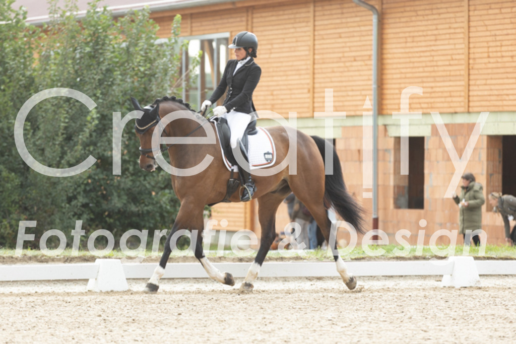 IMG_4061 | Creatify Fotografie