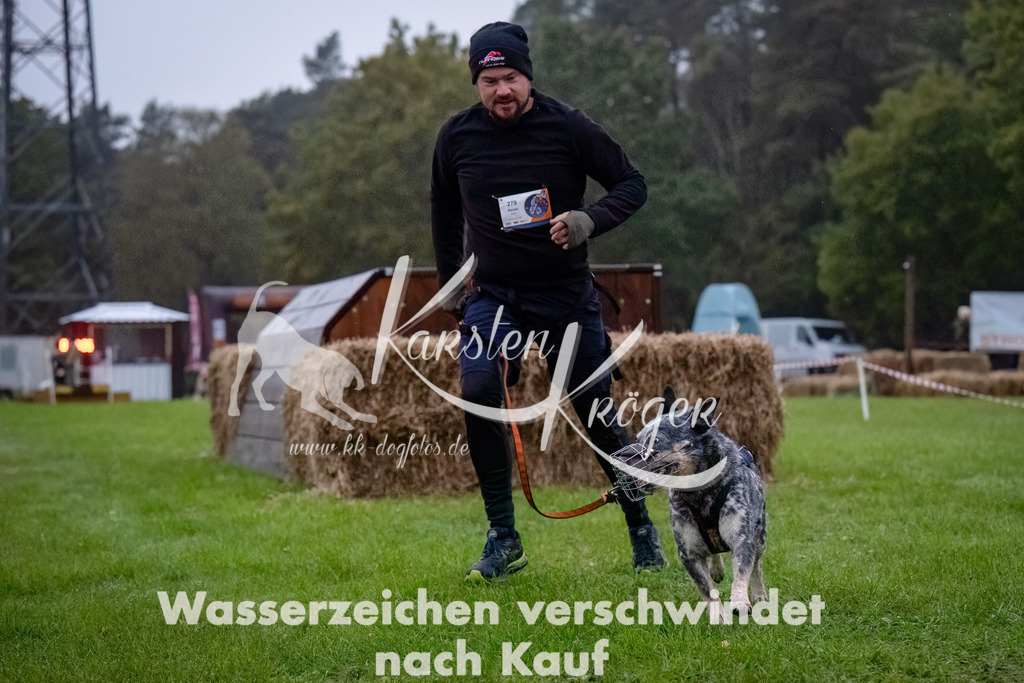 0814-_ZZ90796-Bearbeitet-Bearbeitet | kk-dogfotos