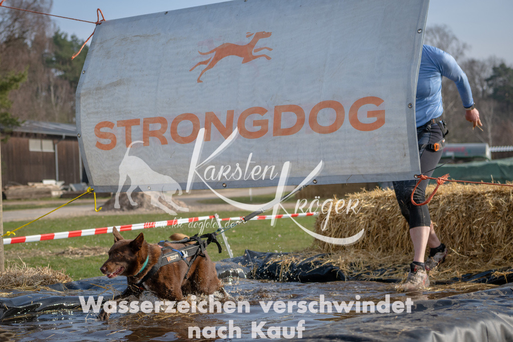 _ZZ90720 | kk-dogfotos