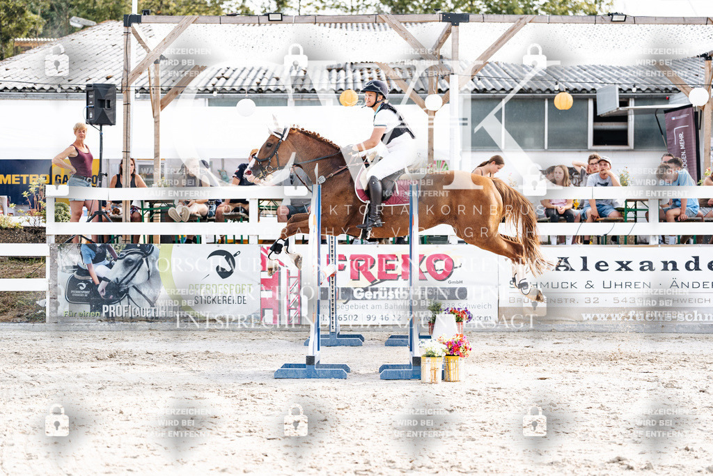 CK906690 | Turnierfotografie Pferdefotografie Trier Rheinland-Pfalz Pferdesport Reitsport Tierfotografie Sportfotografie Pferdevideo Pferdevideografie Equestrianvideography equestrianphotography  - Realisiert mit Pictrs.com