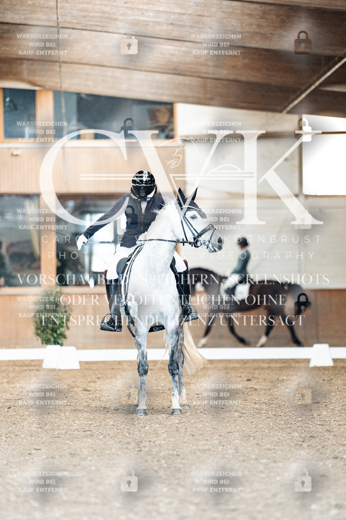CK900840 | Turnierfotografie Pferdefotografie Trier Rheinland-Pfalz Pferdesport Reitsport Tierfotografie Sportfotografie Pferdevideo Pferdevideografie Equestrianvideography equestrianphotography  - Realized with Pictrs.com