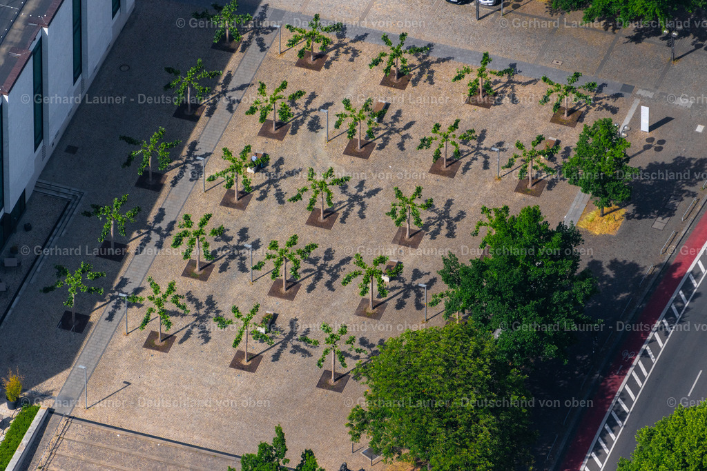 4031053 | HANNOVER 02.06.2020 Bäume mit Schattenbildung durch Lichteinstrahlung auf dem Patz vor dem Landtag Niedersachsen in Hannover im Bundesland Niedersachsen, Deutschland. // Trees with shadows caused by light radiation on the square in front of the Lower Saxony state parliament in Hanover in the state Lower Saxony, Germany. Foto: Gerhard Launer