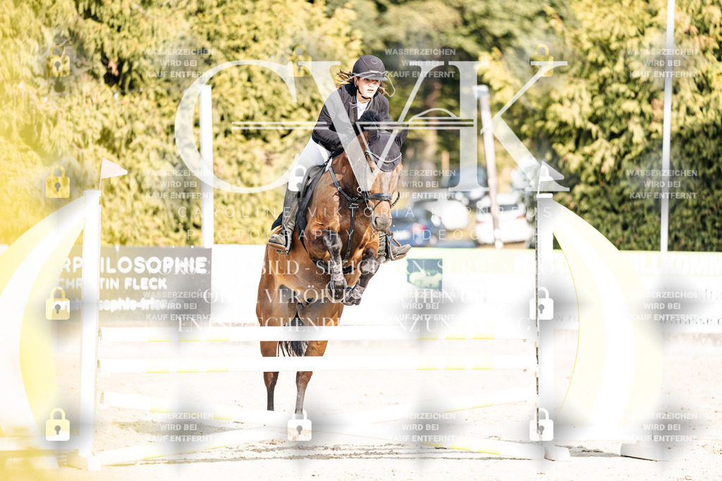 CK903099 | Turnierfotografie Pferdefotografie Trier Rheinland-Pfalz Pferdesport Reitsport Tierfotografie Sportfotografie Pferdevideo Pferdevideografie Equestrianvideography equestrianphotography  - Realisiert mit Pictrs.com