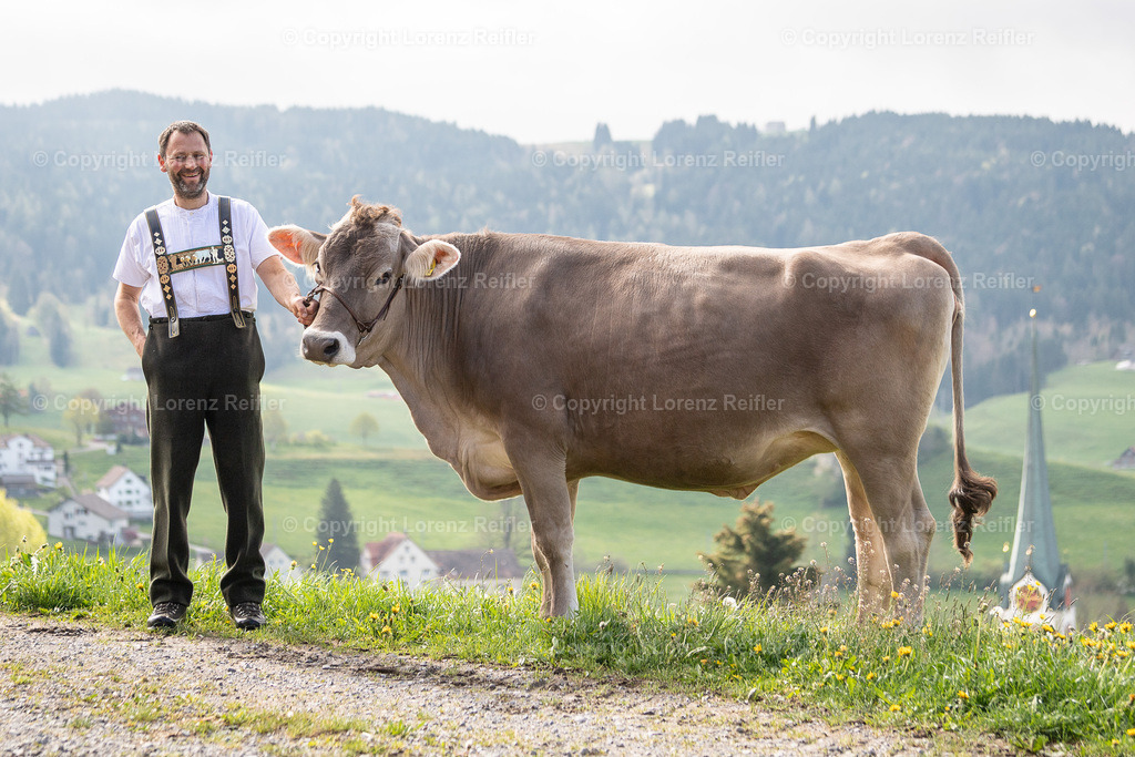 Schwingen -  Lebendpreise AppKant 2025 | Gais, 26.4.25, Schwingen - Lebendpreise AppKant.