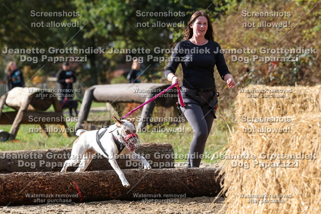 Dog Paparazzi - Strongdog 10-25-5118 | Dog Paparazzi Jeanette Grottendiek Fotografie & Videografie - Realisiert mit Pictrs.com