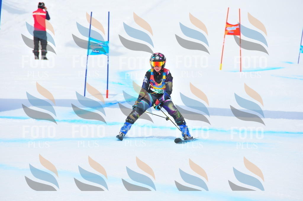 DSC_2185 | holidayphoto