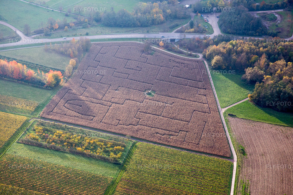 Luftbild: Irrgarten - Maisfeld-Labyrinth auf einem Feld in Göcklingen im Bundesland Rheinland-Pfalz in Deutschland. Foto: IMG_076334.jpg vom 09.11.2014 durch Werner Riehm/FLY-FOTO.de