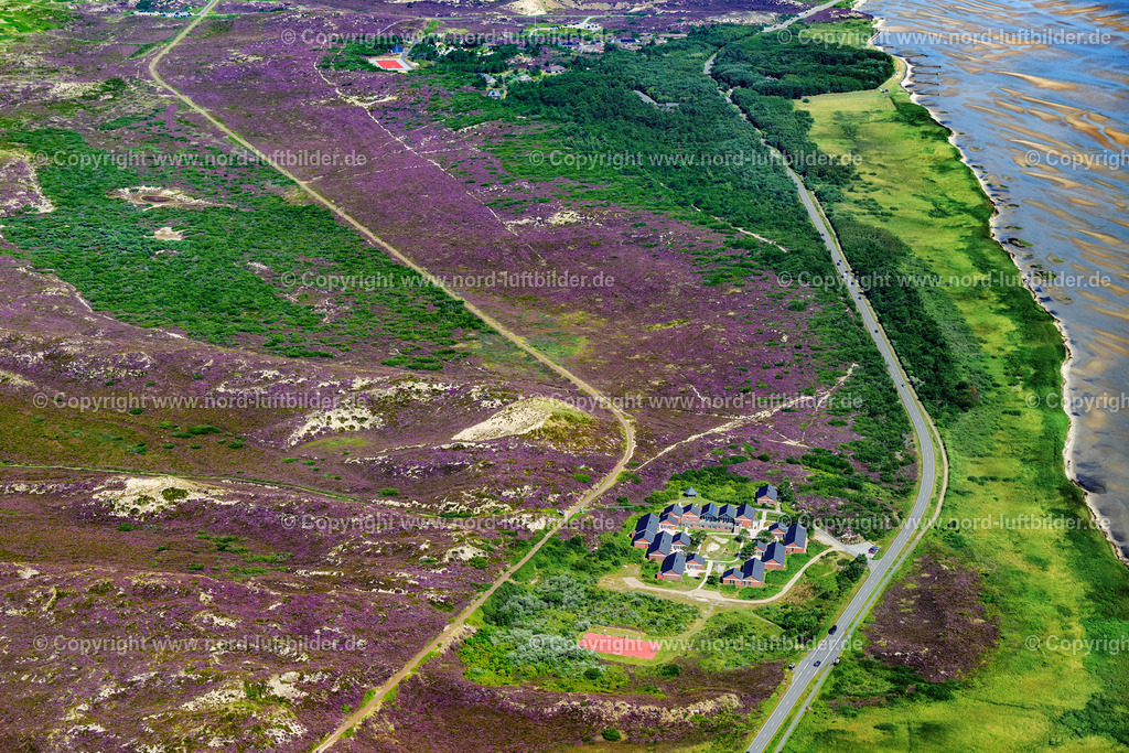 Sylt_Kampen_Kindererholungsheim_Der_Hamburger_Kind_ELS_4456130825 | KAMPEN (SYLT) 13.08.2025 Schulgelände und Gebäudekomplex des " Schullandheim Vogelkoje " in Kampen (Sylt) auf der Insel Sylt im Bundesland Schleswig-Holstein, Deutschland. Weiterführende Informationen bei: Jugenderholungswerk Hamburg e.V. Vogelkoje Kampen. // School grounds and buildings of the " Schullandheim Vogelkoje " in Kampen (Sylt) at the island Sylt in the state Schleswig-Holstein, Germany. Further information at: Jugenderholungswerk Hamburg e.V. Vogelkoje Kampen. Foto: Martin Elsen