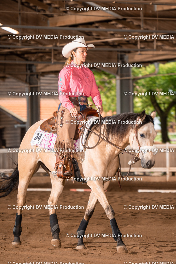 Erbach Tag 2-401 | dv-media-shop - Realisiert mit Pictrs.com