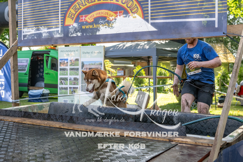 1453_ZZ94591 | kk-dogfotos