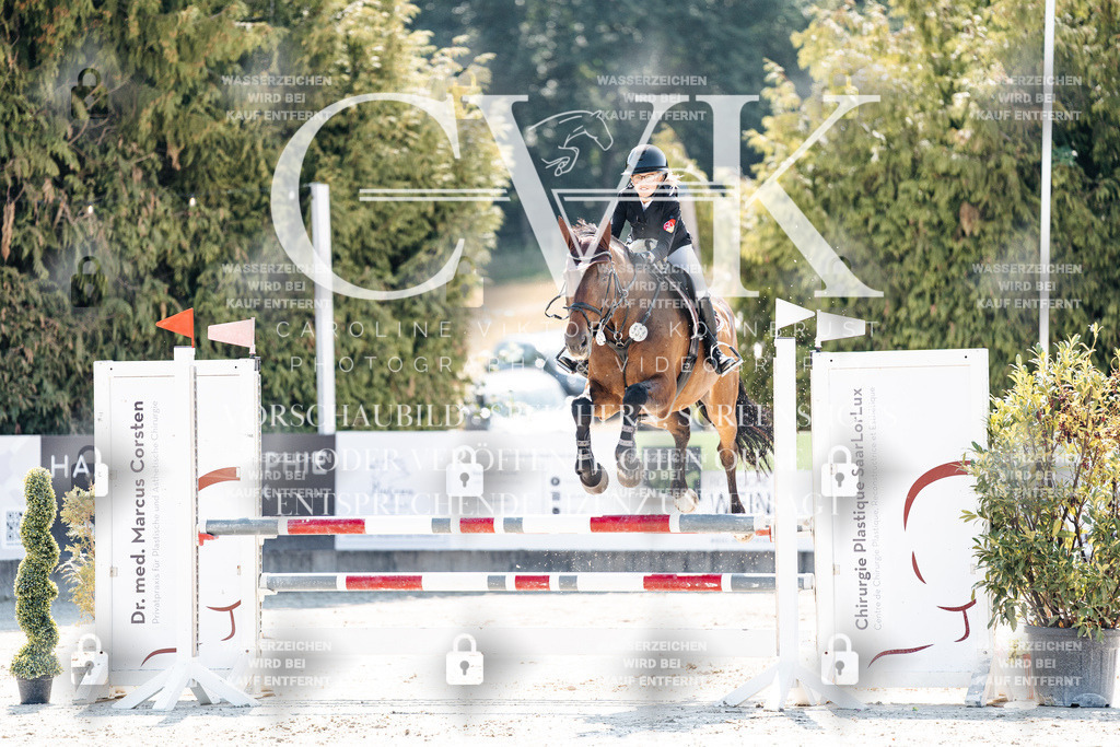 CK908611 | Turnierfotografie Pferdefotografie Trier Rheinland-Pfalz Pferdesport Reitsport Tierfotografie Sportfotografie Pferdevideo Pferdevideografie Equestrianvideography equestrianphotography  - Realisiert mit Pictrs.com