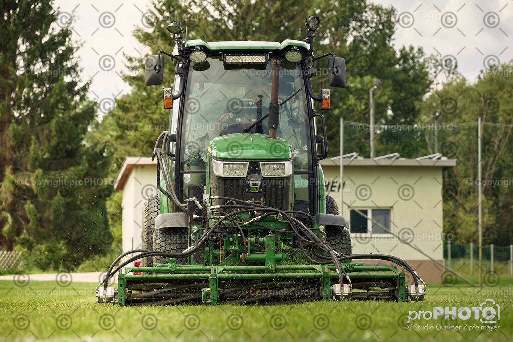 202507_Rernböck-Rasen_NZ9_1416 | proPHOTO - Realisiert mit Pictrs.com