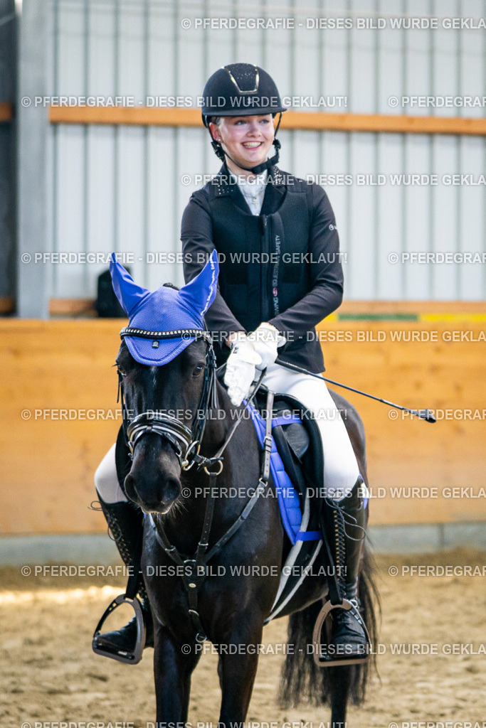 DSC01254 | Pferdegrafie