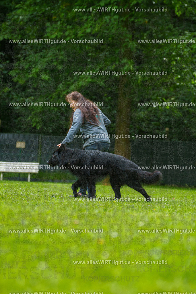 @allesWIRTHgut_Tierfotografie - www.allesWIRTHgut.de - 7R501677 | Professionelle Tierfotografie in Mönchengladbach von Daniel Wirth (allesWIRTHgut). Liebevolle & natürliche Bilder von Hunden & Katzen für unvergessliche Erinnerungen.