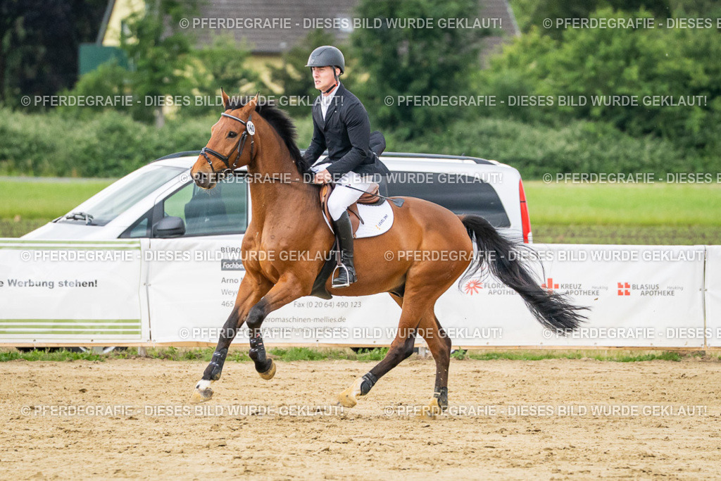 DSC06602 | Pferdegrafie