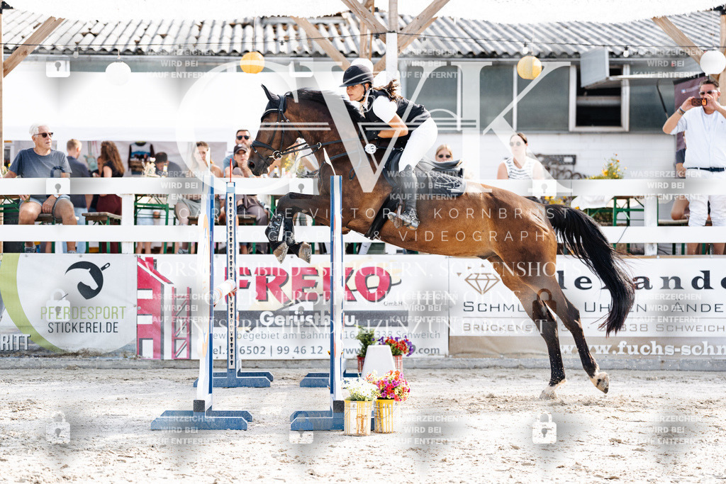 CK905862 | Turnierfotografie Pferdefotografie Trier Rheinland-Pfalz Pferdesport Reitsport Tierfotografie Sportfotografie Pferdevideo Pferdevideografie Equestrianvideography equestrianphotography  - Realisiert mit Pictrs.com