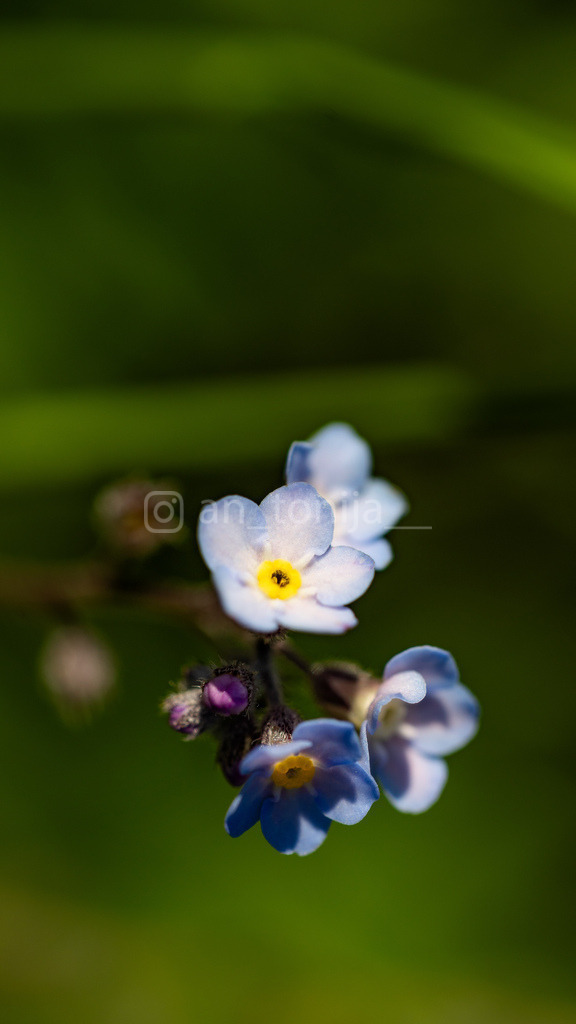 JB3A8506 | antonija-trupina - Realisiert mit Pictrs.com