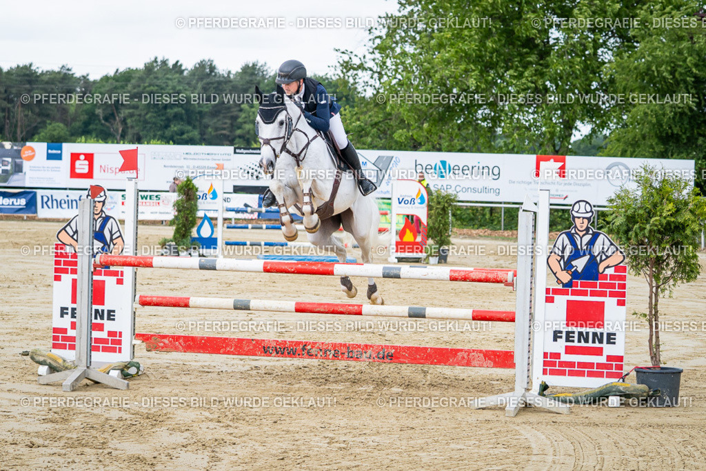 DSC04248 | Pferdegrafie