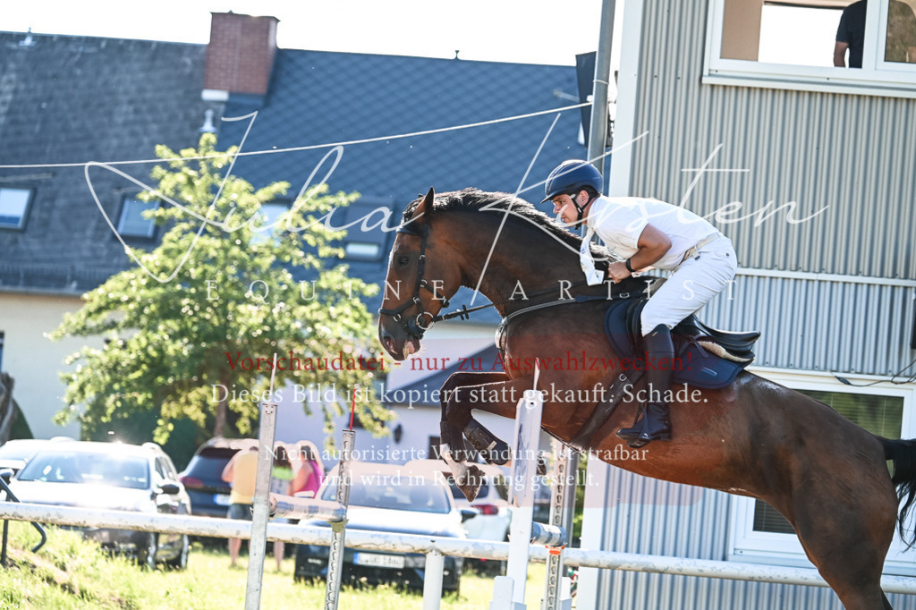 DSC_2734 | Pferde- und Turnierfotografie in Westsachsen. Pferdeportraits, Auftragszeichnungen und intuitive Kunst.