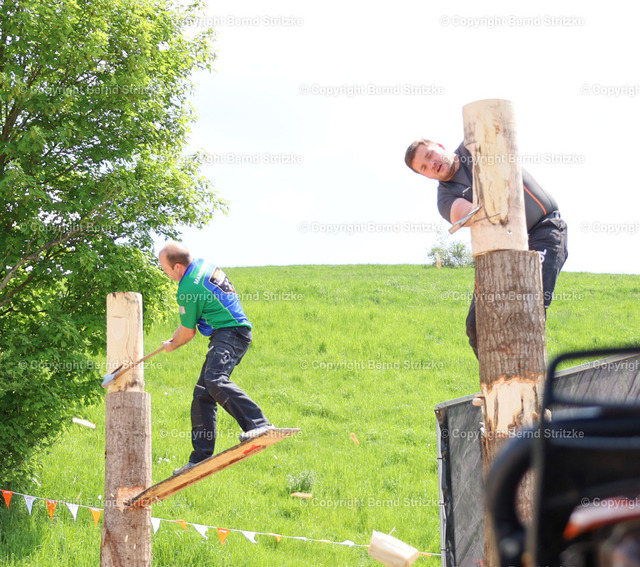 IMG_0249 | Dokumentationen in Wort und Bild aus der Region des Altkreises Osterode am Harz. Bildbestellungen möglich - Realisiert mit Pictrs.com