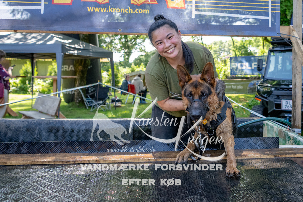 1528_ZZ91441 | kk-dogfotos