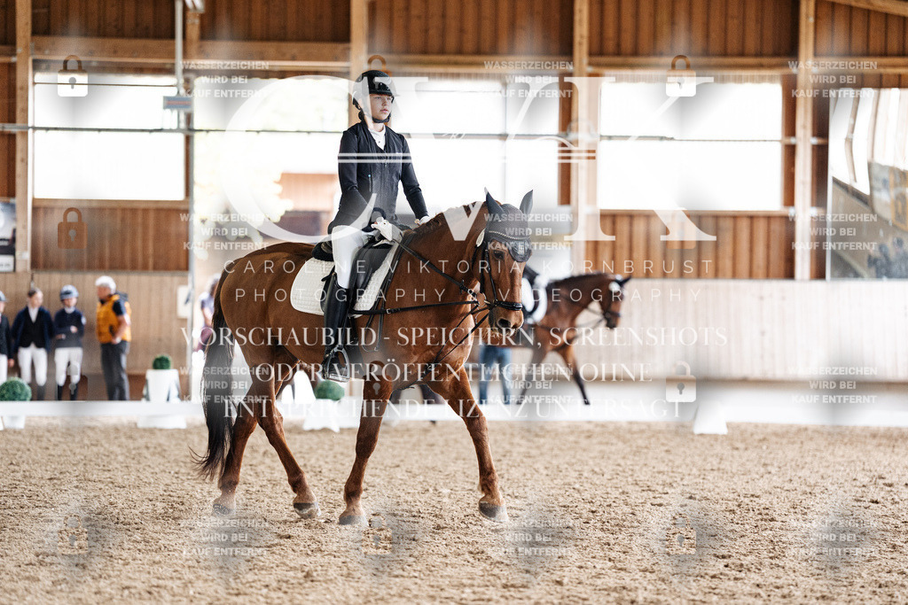 CK900575 | Turnierfotografie Pferdefotografie Trier Rheinland-Pfalz Pferdesport Reitsport Tierfotografie Sportfotografie Pferdevideo Pferdevideografie Equestrianvideography equestrianphotography  - Realisiert mit Pictrs.com