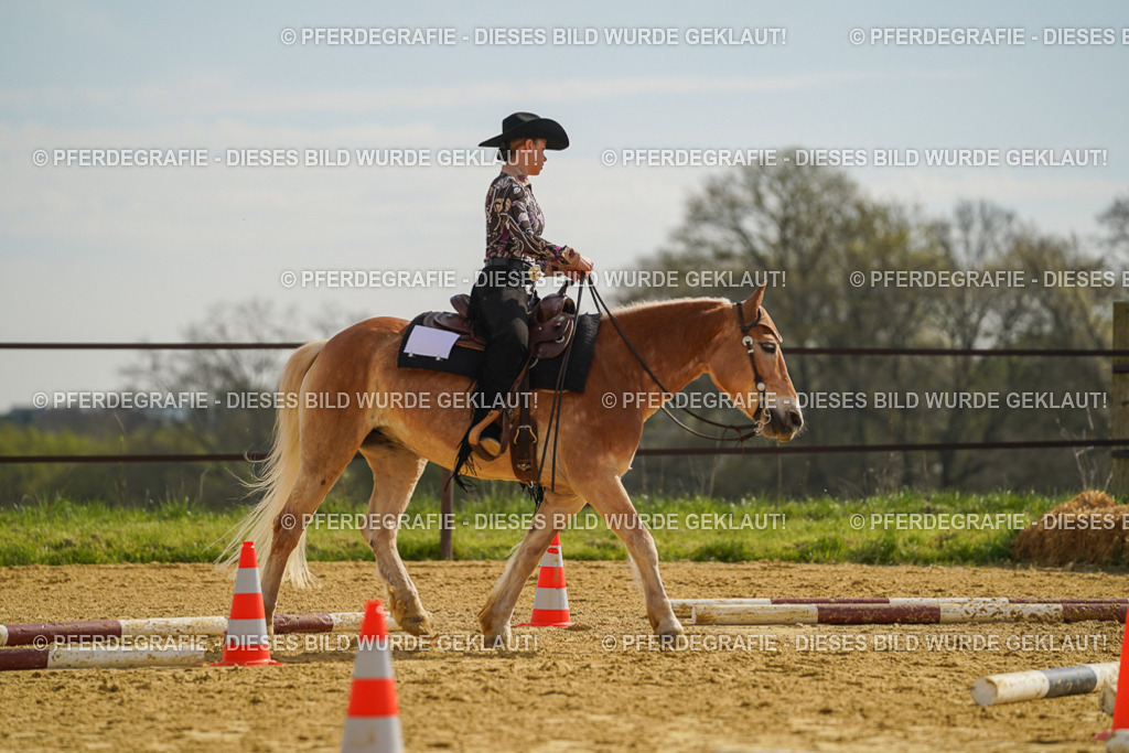 DSC01743 | Pferdegrafie