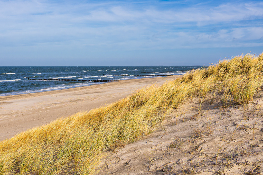 Strand an der Küste der Ostsee in Graal Müritz | Strand an der Küste der Ostsee in Graal Müritz.