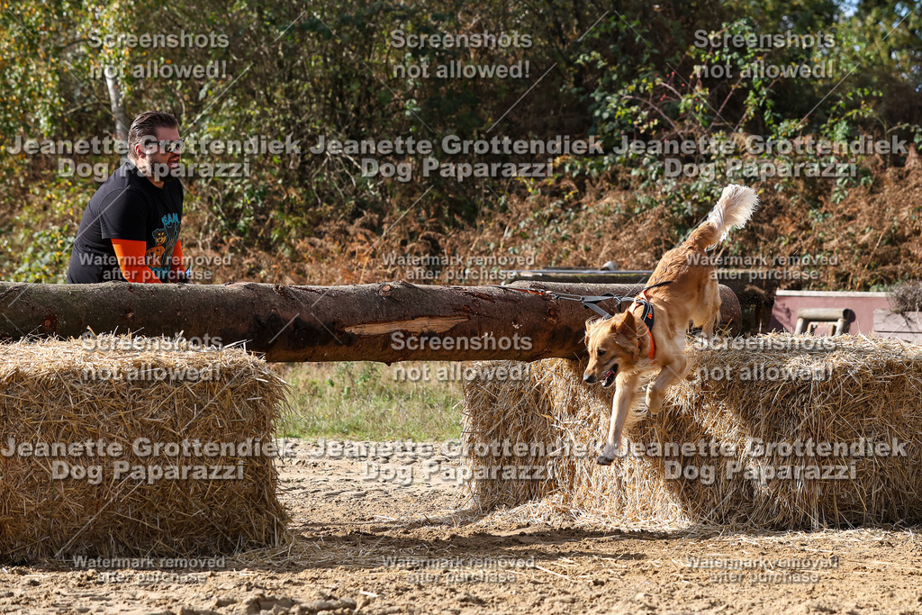 Dog Paparazzi - Strongdog 10-25-5158 | Dog Paparazzi Jeanette Grottendiek Fotografie & Videografie - Realisiert mit Pictrs.com