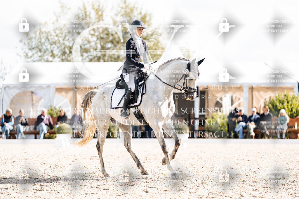 CK902051 | Turnierfotografie Pferdefotografie Trier Rheinland-Pfalz Pferdesport Reitsport Tierfotografie Sportfotografie Pferdevideo Pferdevideografie Equestrianvideography equestrianphotography  - Realisiert mit Pictrs.com