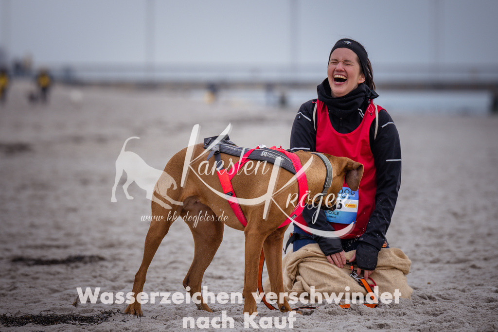 1206_ZZ92025 | kk-dogfotos