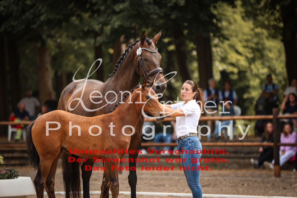 SaFohlen00157 | Leoni Ertmer Photography - Realisiert mit Pictrs.com