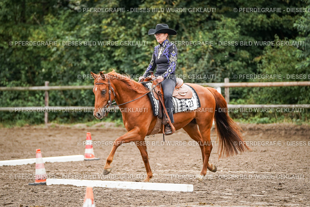 DSC03696 | Pferdegrafie