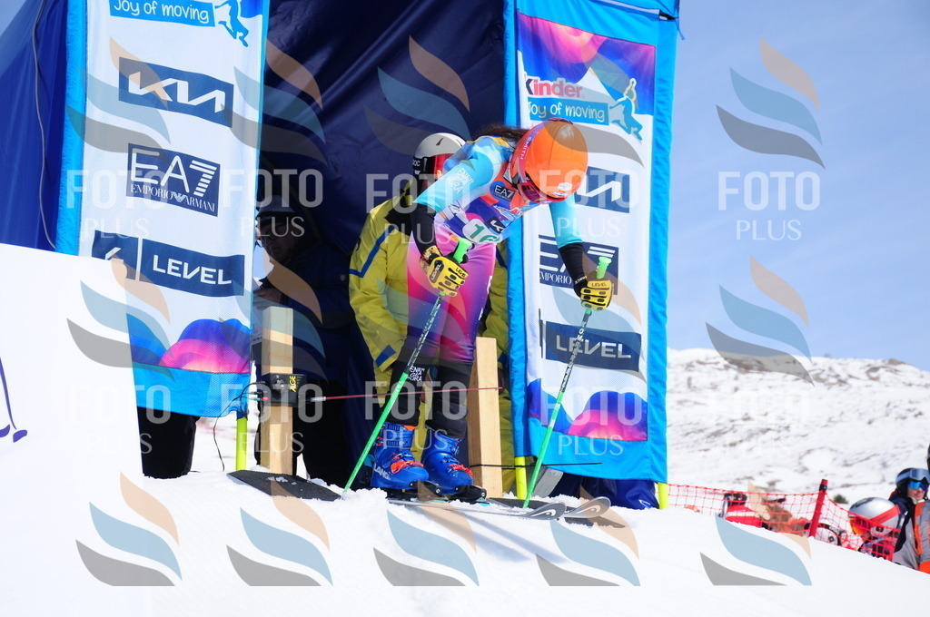 DSC_1448 | holidayphoto