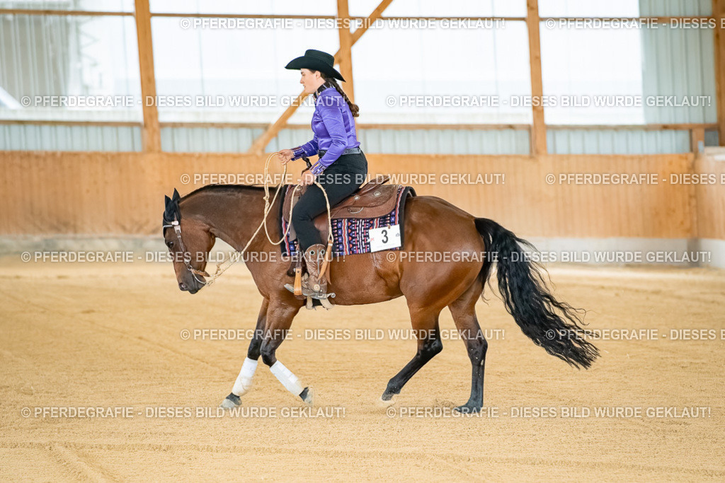 DSC07741 | Pferdegrafie