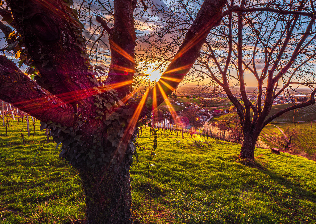 MPI_Sunset_0040 | Sonnenuntergang bei Bottenau - Realisiert mit Pictrs.com