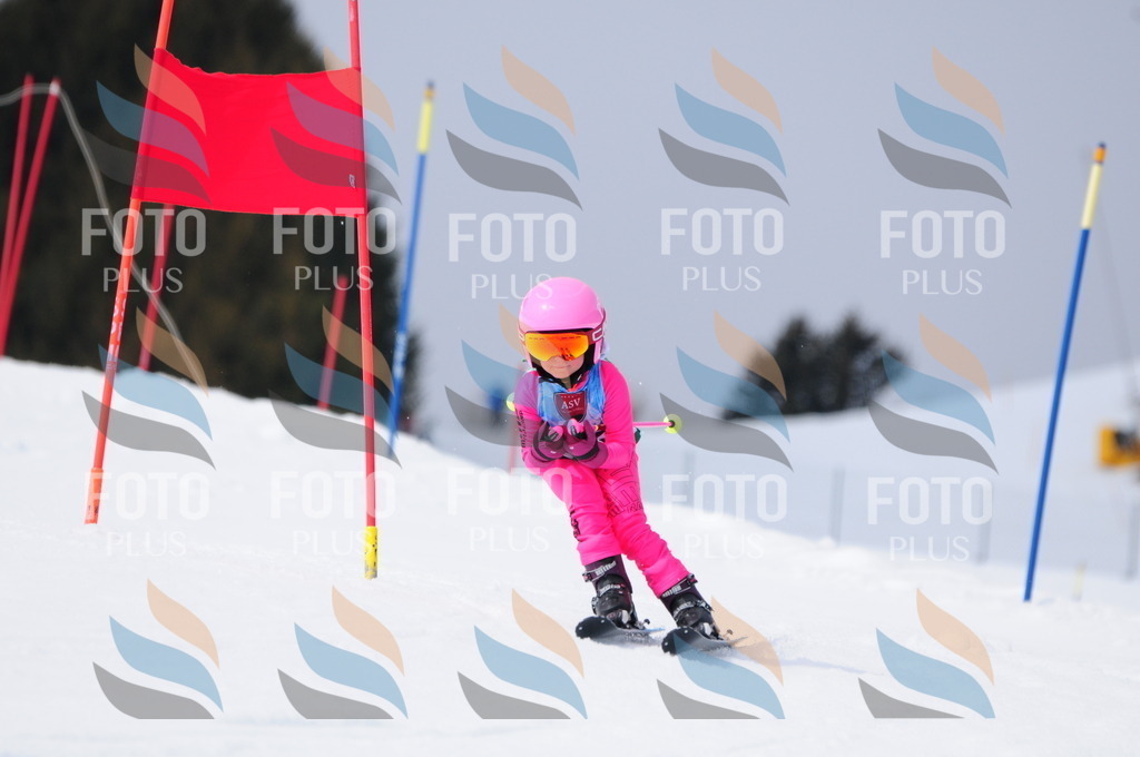 A3810 | holidayphoto