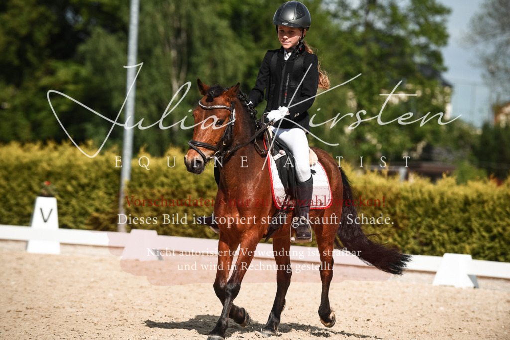 20230518_JK-Röhrsdorf-12-0385 | Pferde- und Turnierfotografie in Westsachsen. Pferdeportraits, Auftragszeichnungen und intuitive Kunst.
