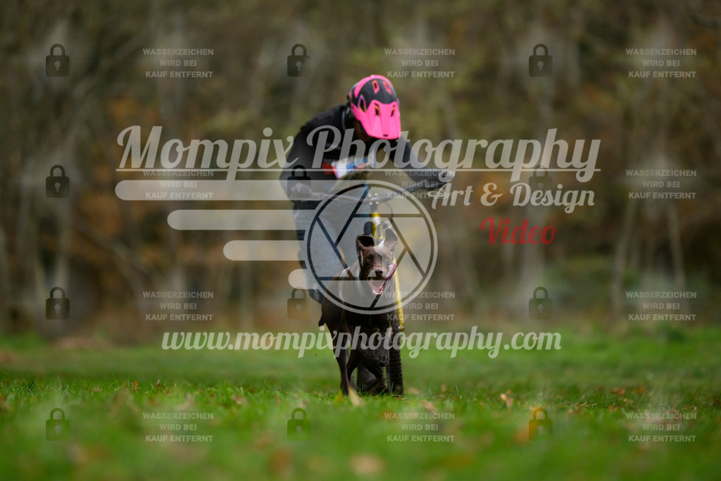 MompixPhotography_Bischwiller24_SA_DS1-29 | PayLife