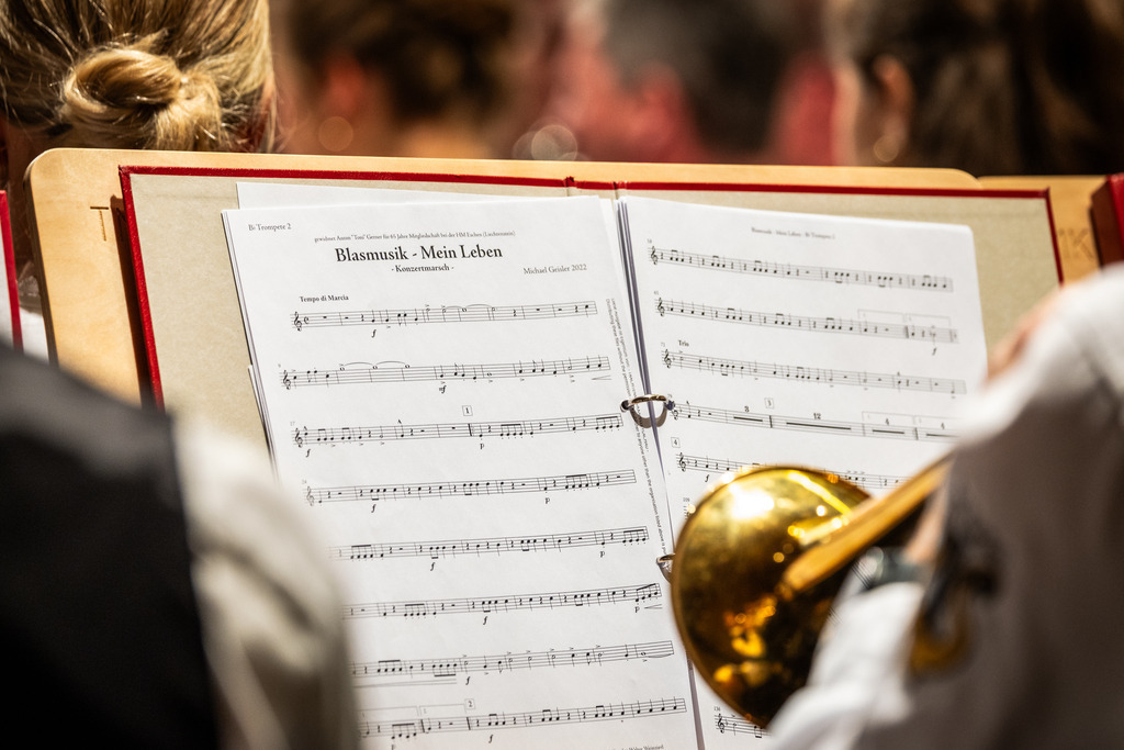 Cäcilia Konzert_2025_TMK Flachau-96 | Bildershop Chri Fischbacher - Realisiert mit Pictrs.com