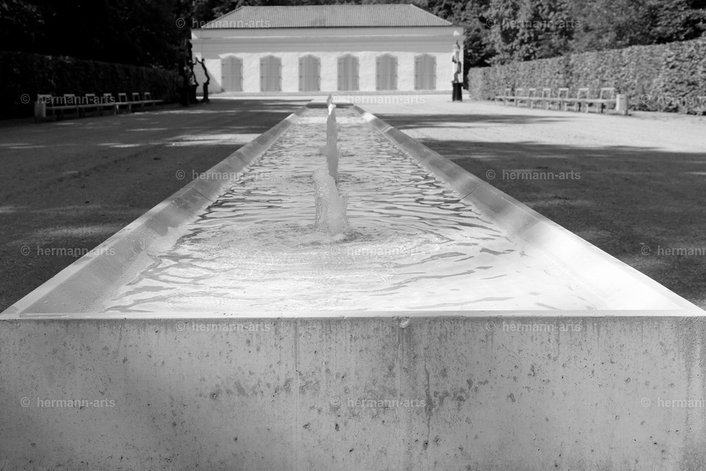 Bagno_09_07_24_DPP-22A | Photo Foto Kunst Art schwarzweiss Bilder Rheine Münster Berlin Blumen 