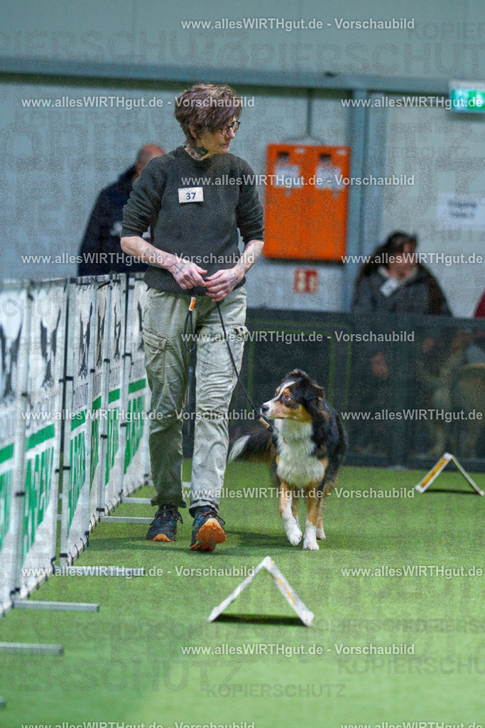 7R506021 | Professionelle Tierfotografie in Mönchengladbach von Daniel Wirth (allesWIRTHgut). Liebevolle & natürliche Bilder von Hunden & Katzen für unvergessliche Erinnerungen.