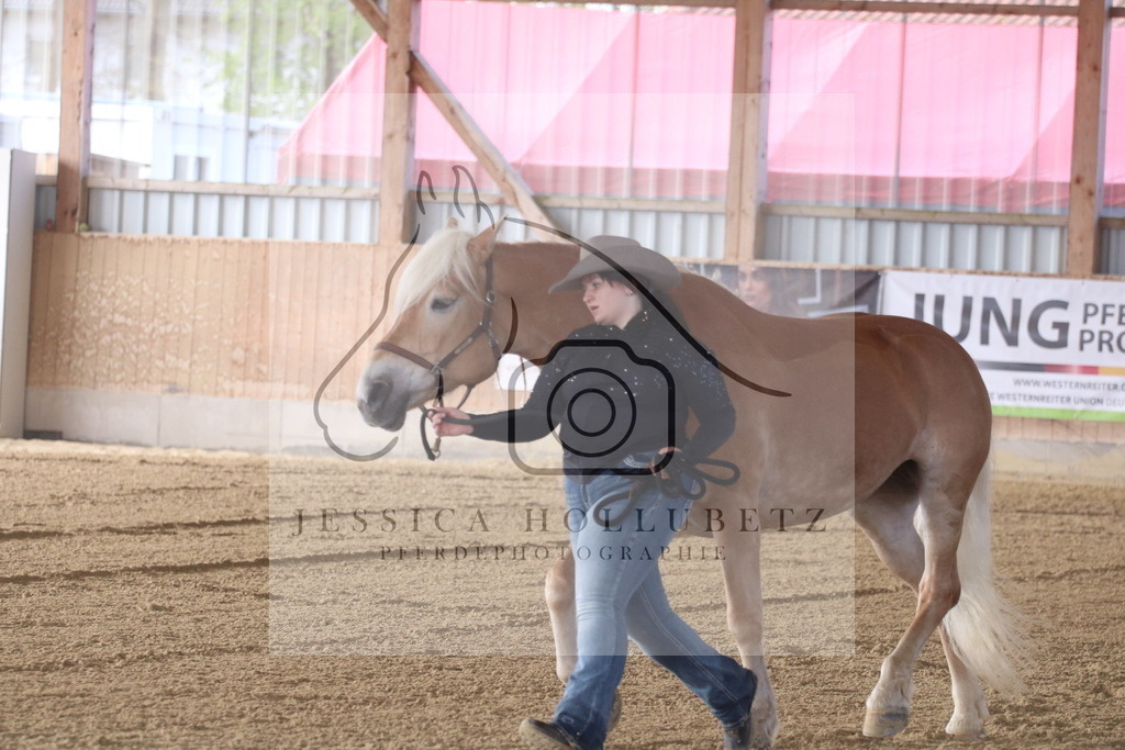 IMG_6529 | jessicahollubetz_pferdephotographie - Realisiert mit Pictrs.com