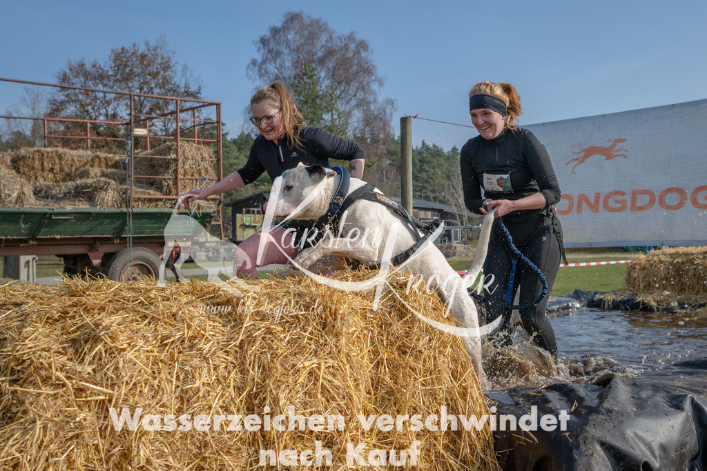 _ZZ90874 | kk-dogfotos