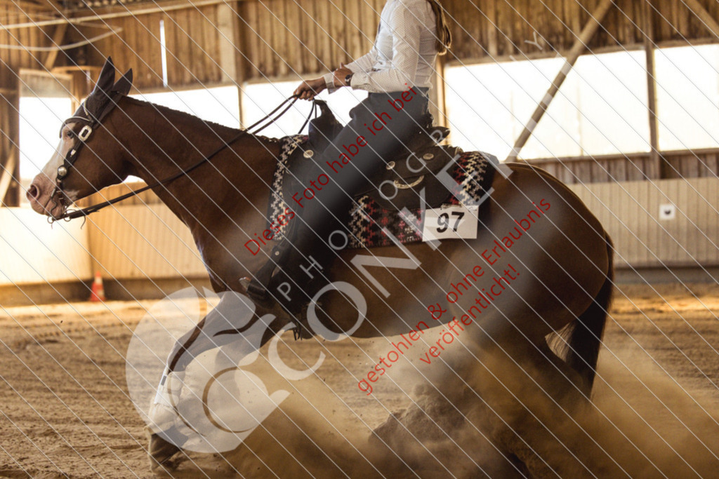 IMG_4985 | Sport-, Event- und Tierfotos in Profiqualität. Einfach auswählen, bestellen und herunterladen. Dein Moment – perfekt festgehalten.